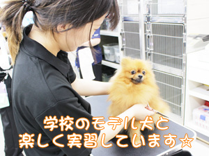 １年生のトリミング実習☆